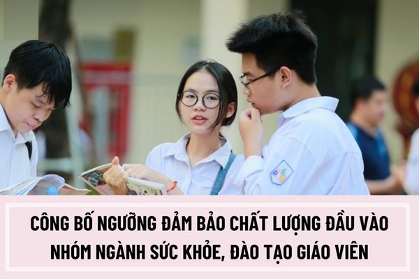 Ngưỡng bảo đảm chất lượng đầu vào nhóm ngành đào tạo giáo viên và sức khỏe năm 2024